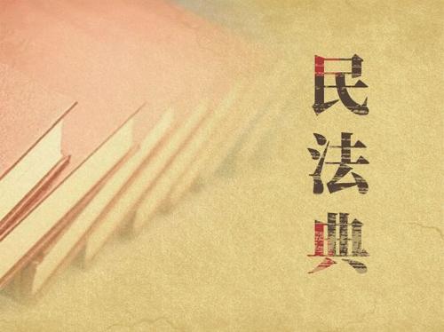 充分認(rèn)識頒布實(shí)施民法典重大意義 依法更好保障人民合法權(quán)益